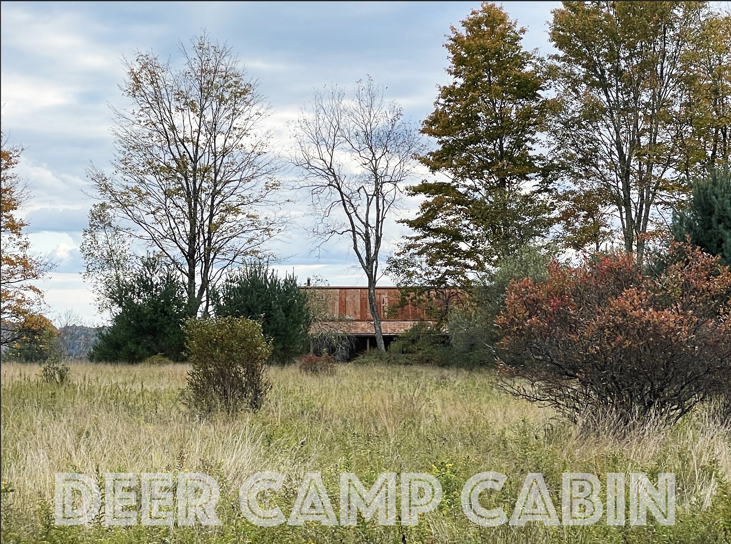 Deer Camp Cabin in the woods